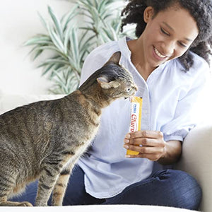 INABA Churu Cat Treats, Grain-Free, Lickable, Squeezable Creamy Purée Cat Treat/Topper with Vitamin E & Taurine, 0.5 Ounces Each Tube, 50 Tubes, Chicken Variety