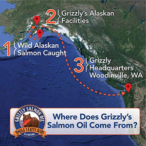 Grizzly Wild Alaskan Salmon Oil Dog Food Supplement Omega 3 Fatty Acids, 64 oz